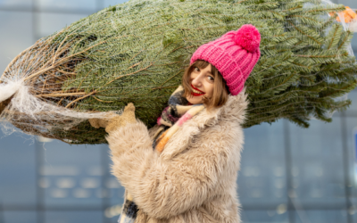 La foire aux sapins d’Espinelves : tout ce qu’il faut pour un Noël parfait