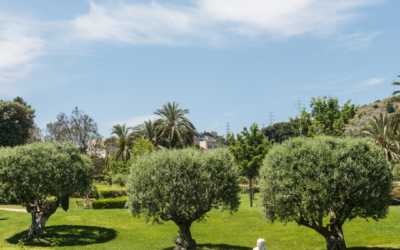 Conoce el parque de Cervantes en Barcelona, un enclave de naturaleza, rosas e historia